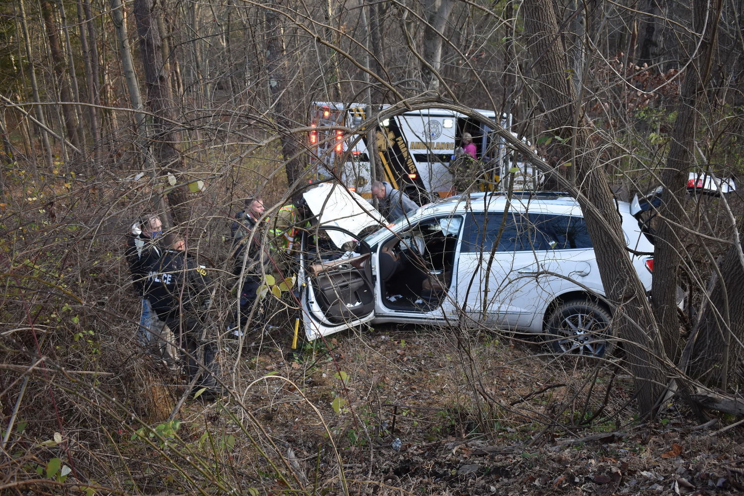Vehicle strikes deer near Knoebels